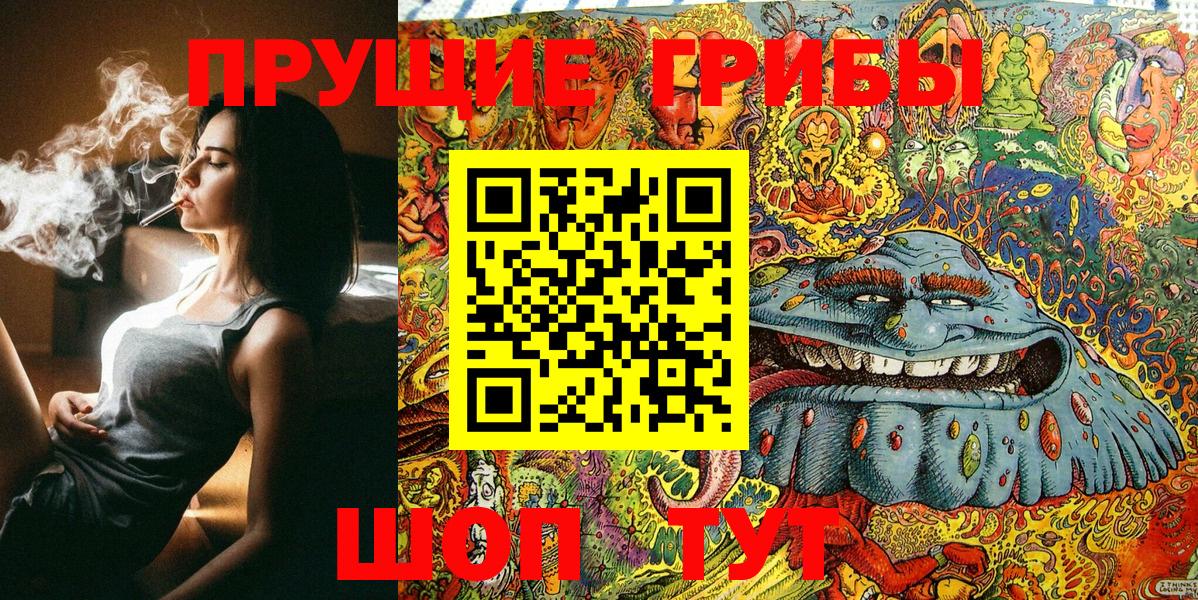 Галлюциногенные грибы Cubensis Георгиевск