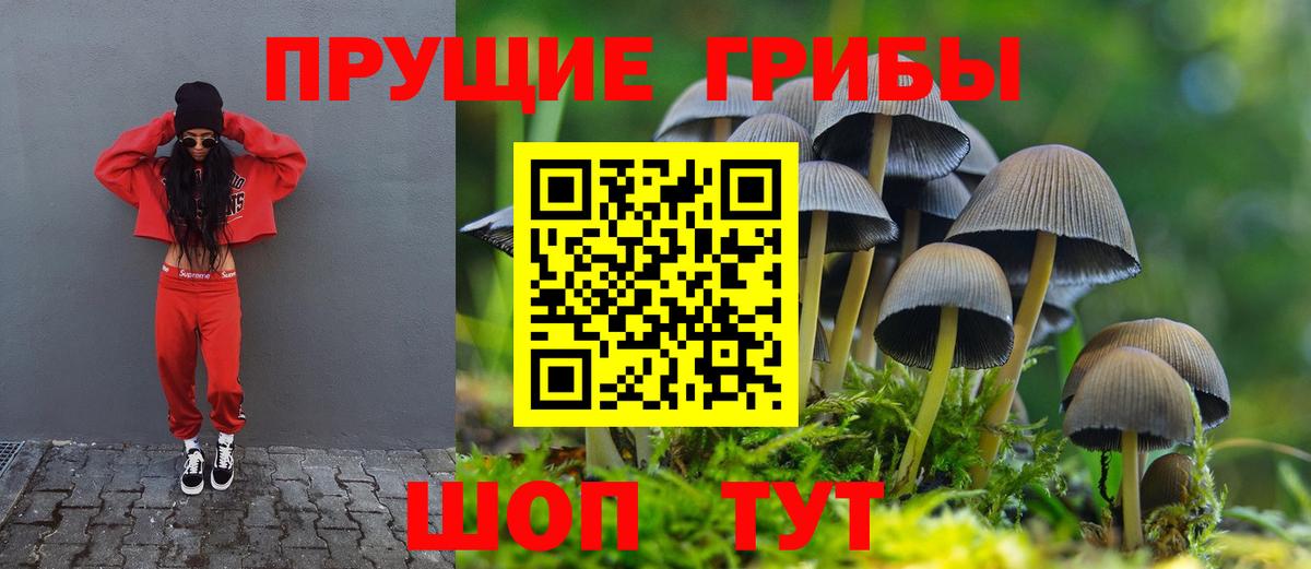 Псилоцибиновые грибы ЛСД  Вход с VPN  купить закладку  Галлюциногенные грибы мицелий  Георгиевск 